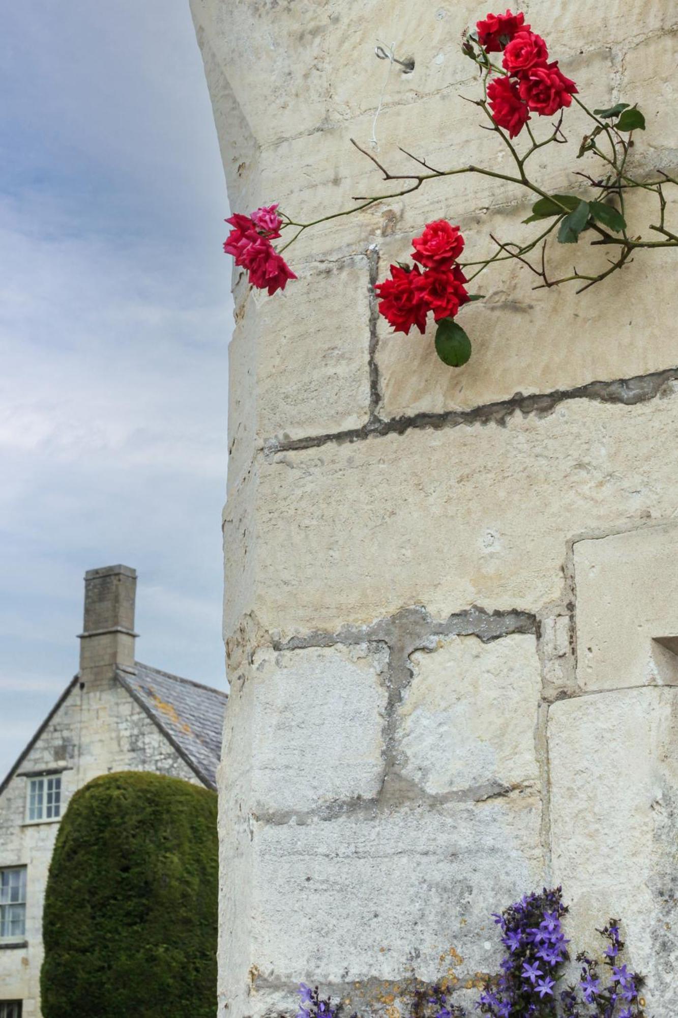 Bright & Beautiful Open Plan Coach House Painswick Exterior foto